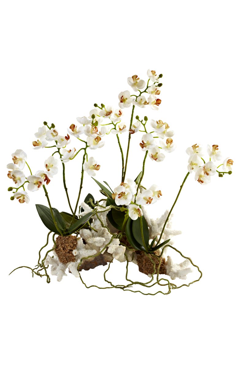 NEARLY NATURAL Mini Phalaenopsis Set on Coral, Main, color, White