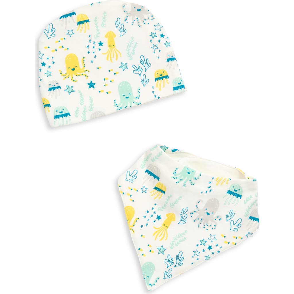 Apple Park Organic Cotton Hat & Bib Set In Multi