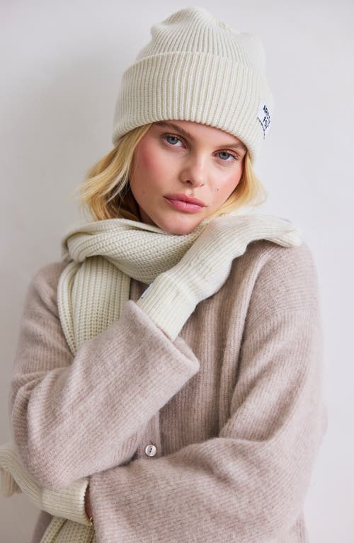 Arctic Fox & Co. Arctic Fox & Co The Recycled Bottle Gloves In White