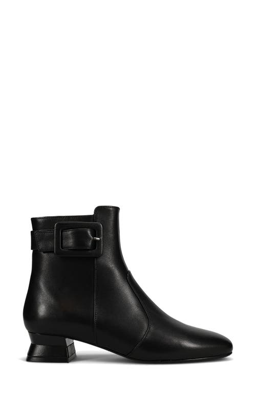 Vaneli Pierot Bootie In Black