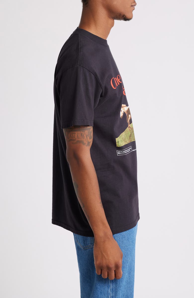ONE OF THESE DAYS Wild Horses Cotton Graphic T-Shirt, Alternate, color, 