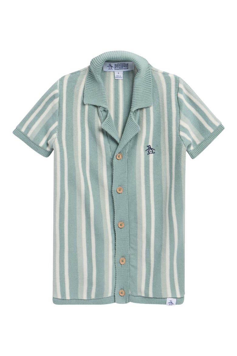 Kids' Stripe Sweater Polo, Main, color, SILVER BLUE