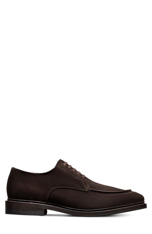 Allen Edmonds Rivington Suede Moc Toe Derby In Animal Print
