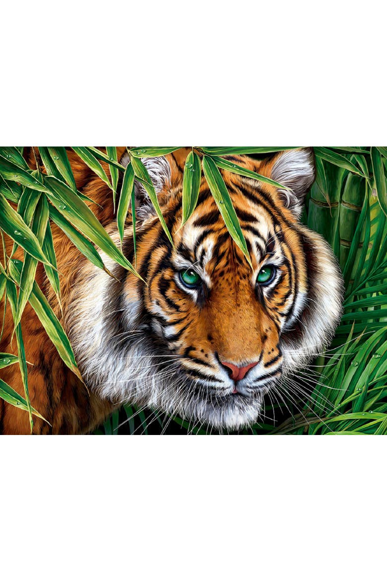 Big Tiger 1000 piece Jigsaw Puzzle for Adults, Alternate, color, Multicolor