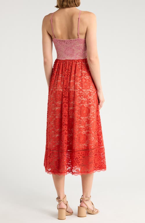 Nsr Crochet Stretch Lace Midi Dress In Red