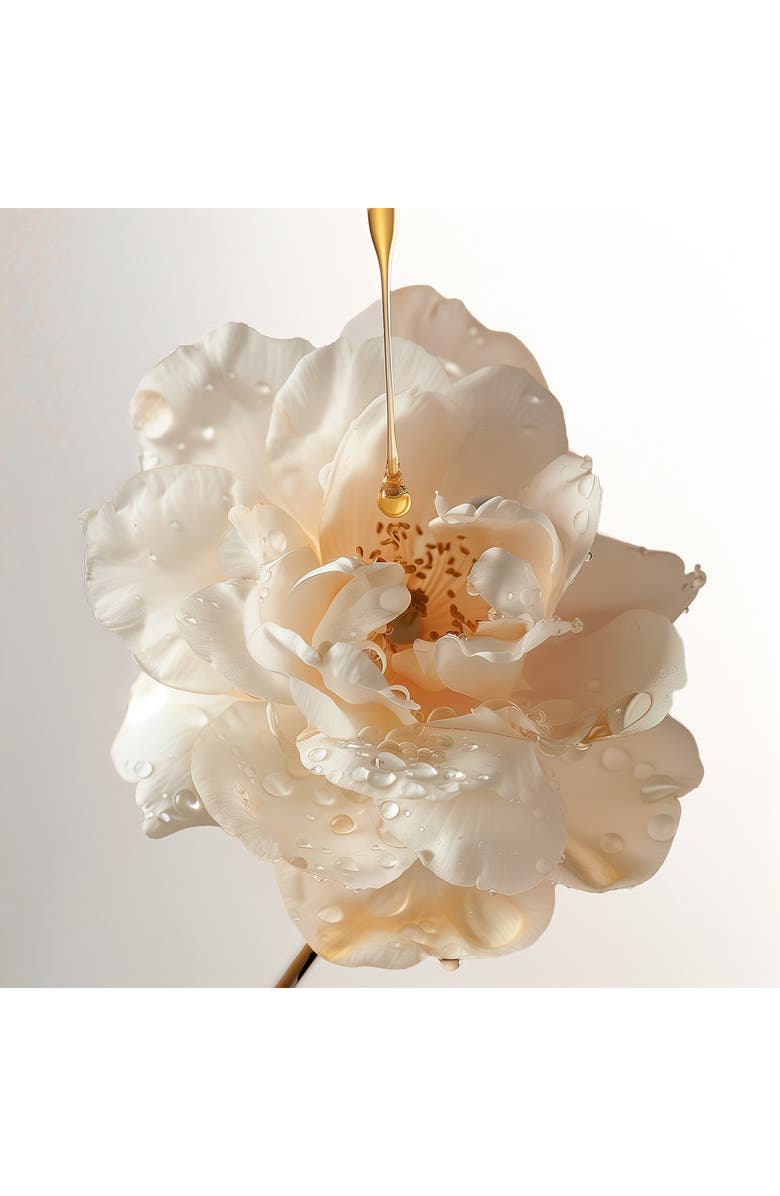 Leonor Greyl PARIS L'Huile de Leonor Greyl, Pre-shampoo Treatment Oil for Dry, Sun & Water Exposed Hair, Alternate, color, 