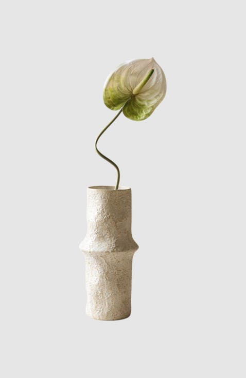 Light Green Anthurium Flower