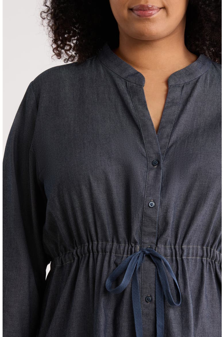 Organic Cotton Mandarin Collar Dress, Alternate, color, DENIM
