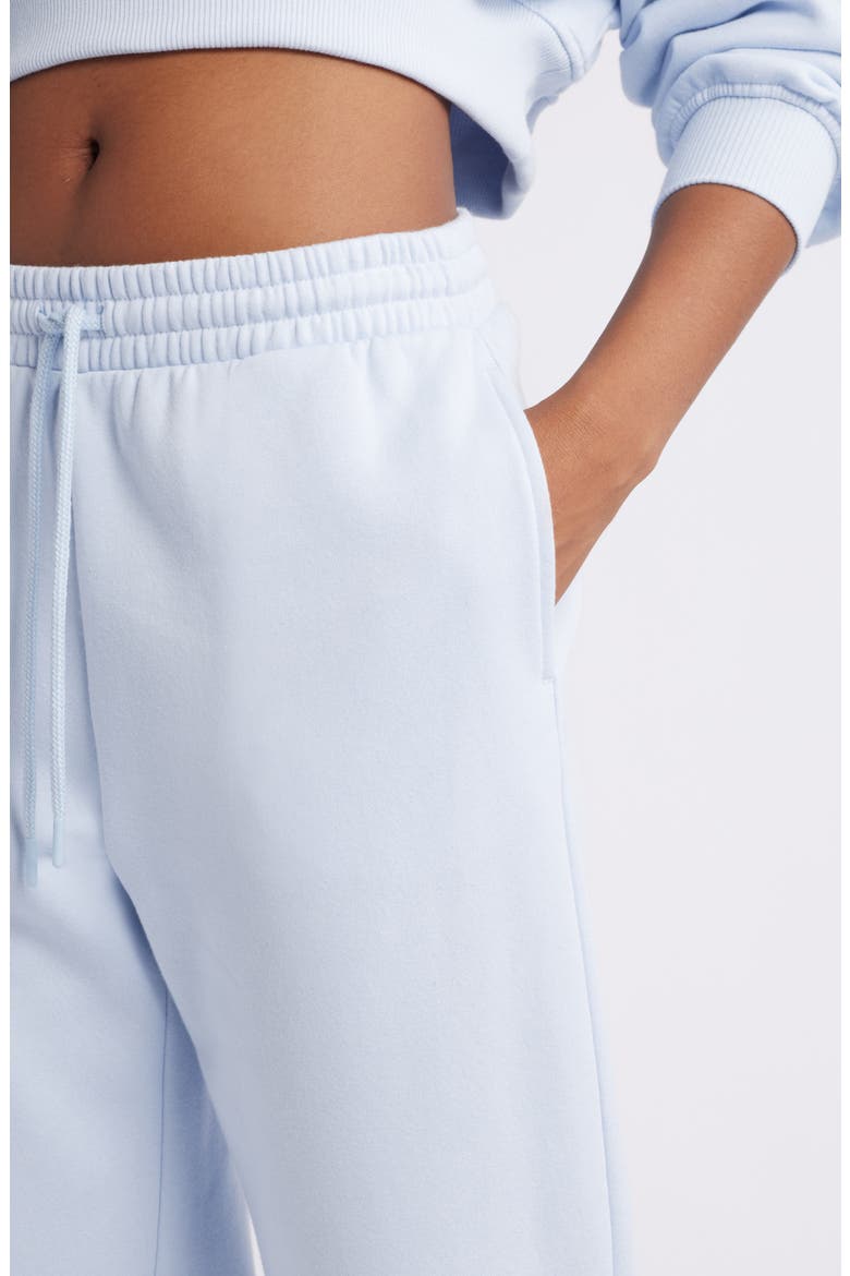 Baggy Fleece Joggers, Alternate, color, BLUE FEATHER