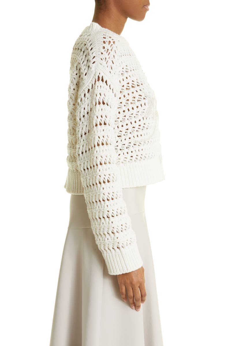 Fabiana Filippi Floral Appliqué Crochet Virgin Wool, Silk & Cashmere Sweater, Alternate, color,