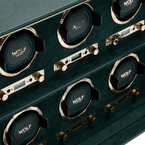 Wolf British Racing 6 Piece Watch Winder In Green
