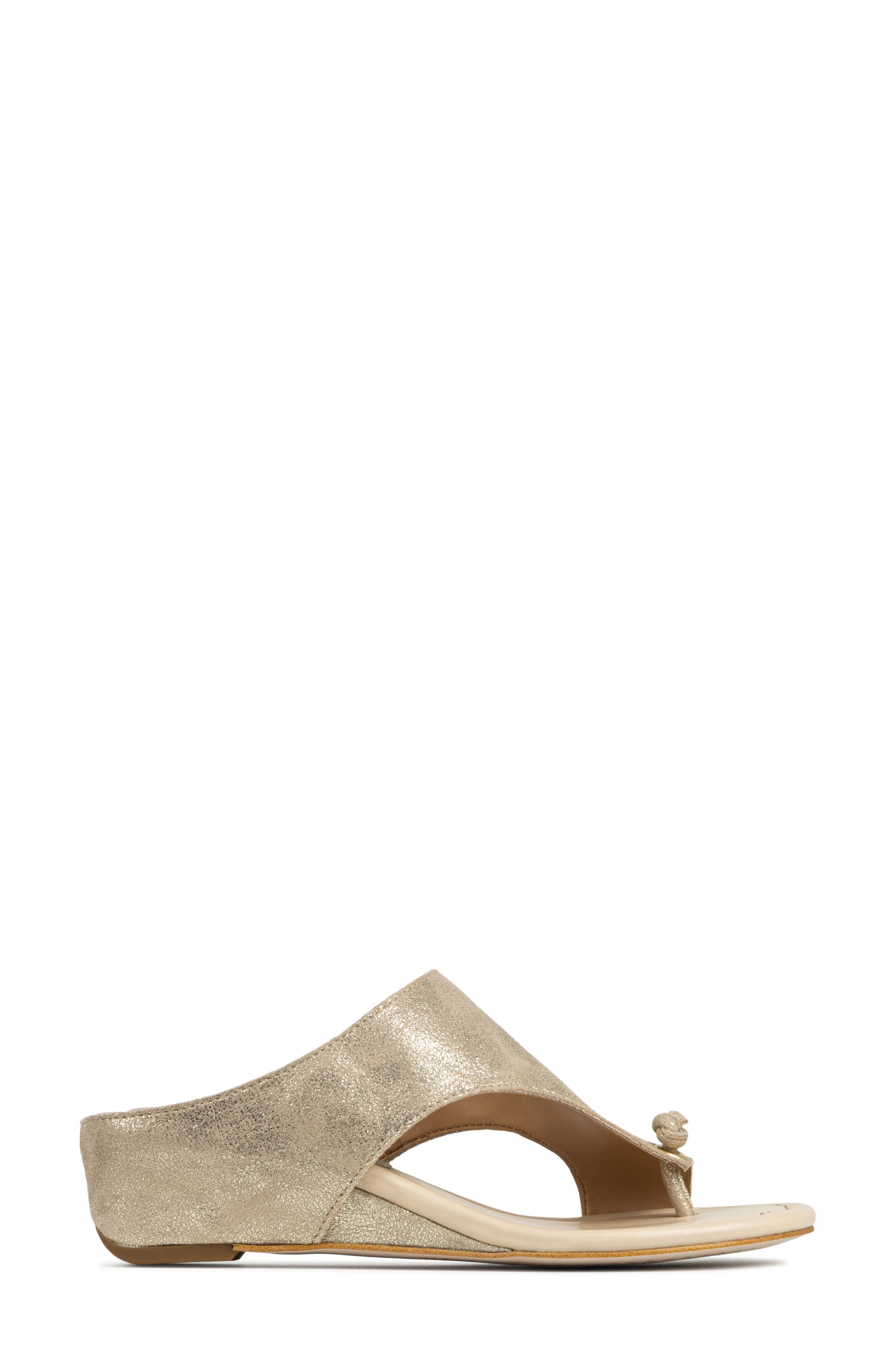 Donald Pliner Toe Loop Wedge Sandal, Alternate, color, Platino