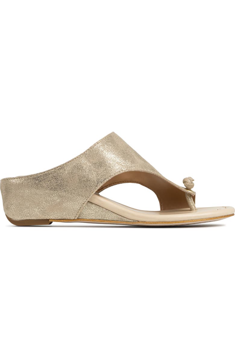Donald Pliner Toe Loop Wedge Sandal, Alternate, color, Platino