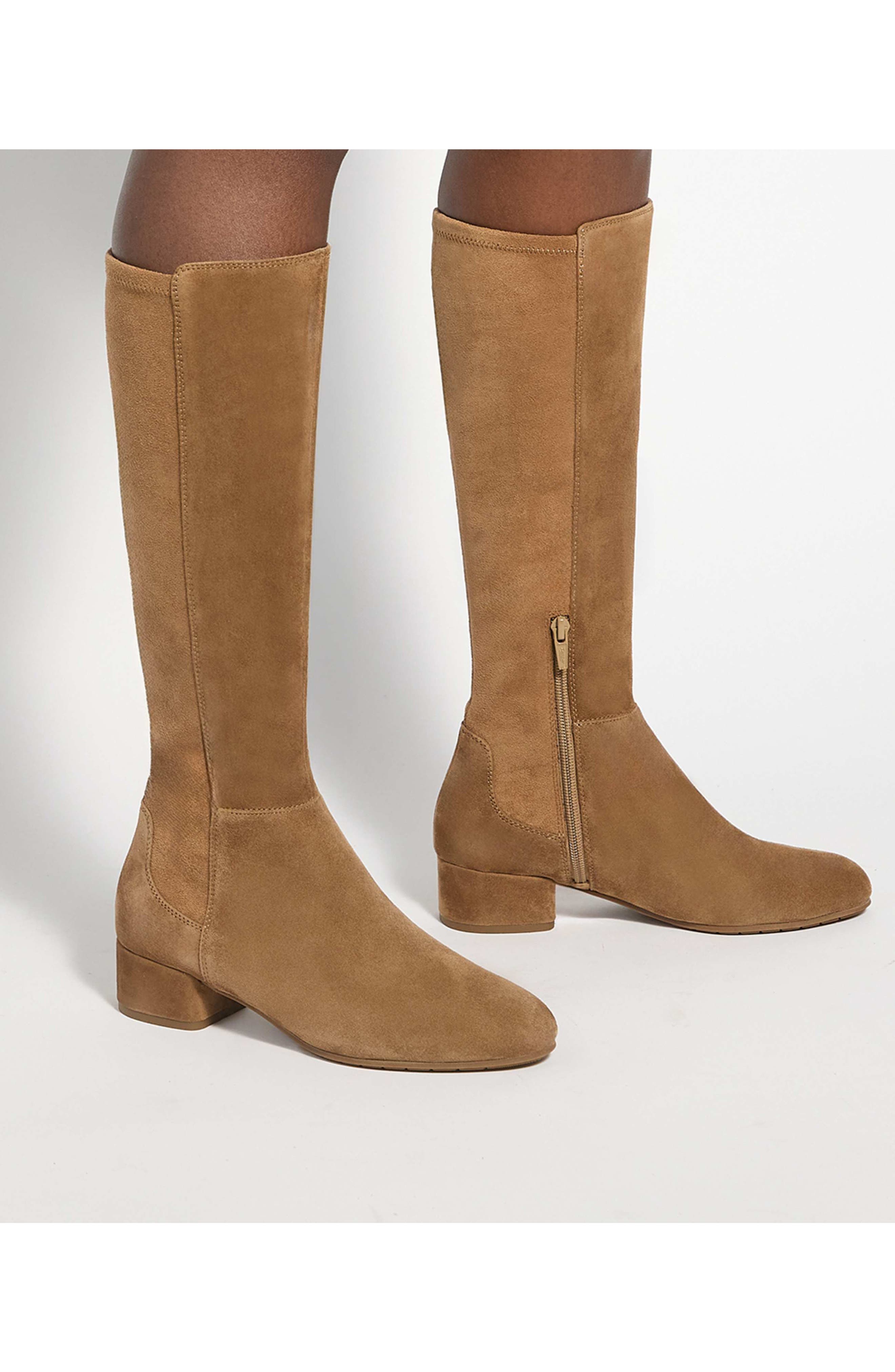 Tayla Knee High Boot, Alternate, color, HONEY