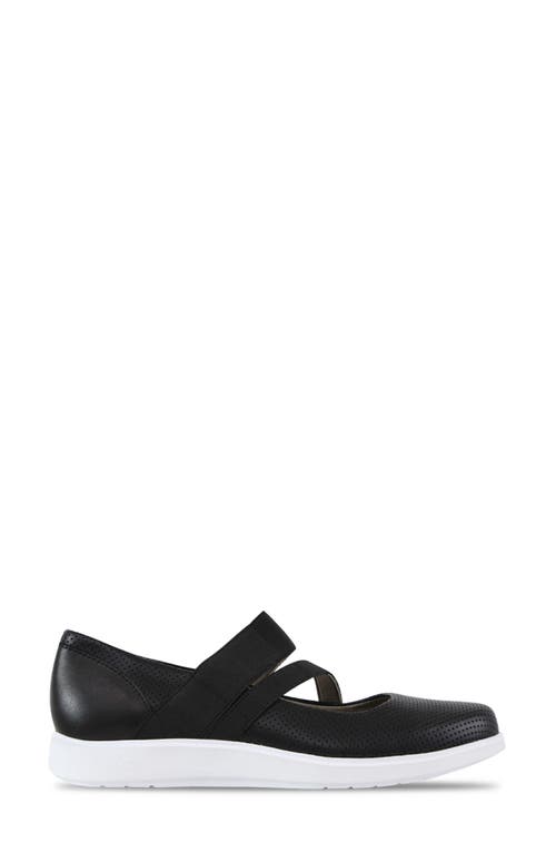 Munro Cass Mary Jane Flat In Black Perf/combo