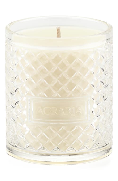 Agraria San Francisco Holiday Perfume Candle In Red