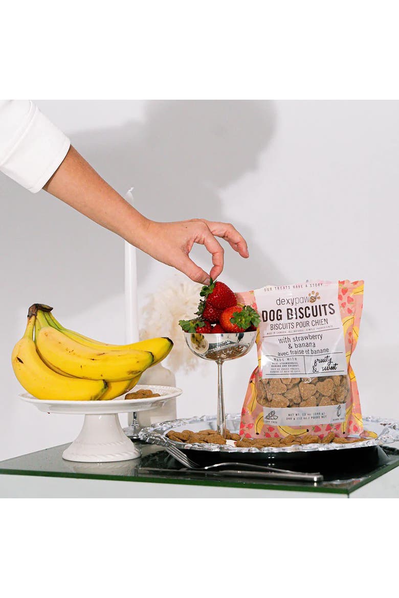 Strawberry, Banana & Coconut Dog Biscuits 12Oz Natural Pet Treats, Alternate, color, Brown