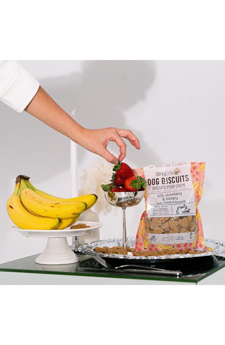 Dexypaws Strawberry, Banana & Coconut Dog Biscuits 12Oz Natural Pet Treats, Alternate, color, 