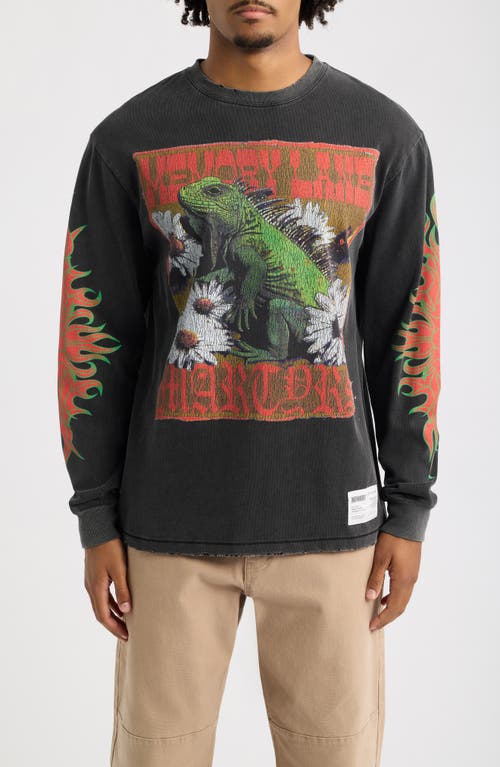 Memory Lane Iguana Oversize Cotton Graphic T-shirt In Black