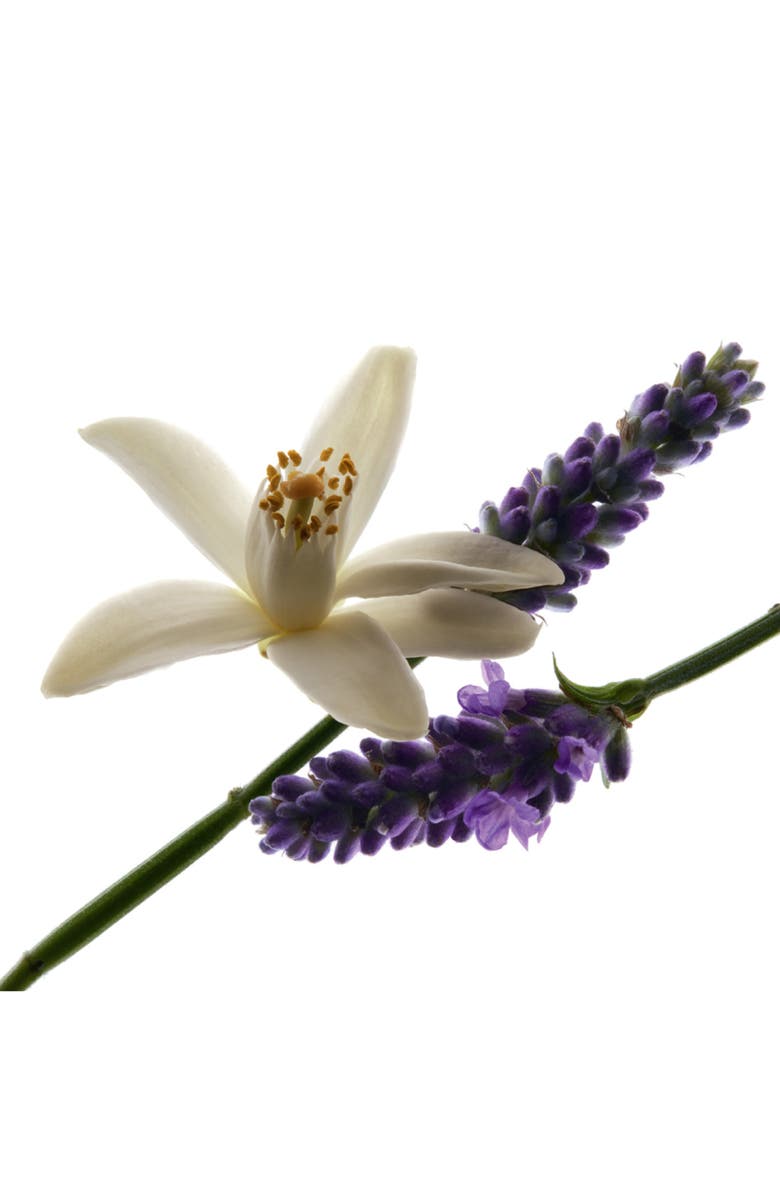 Yves Saint Laurent Libre Holiday Set, Alternate, color, 