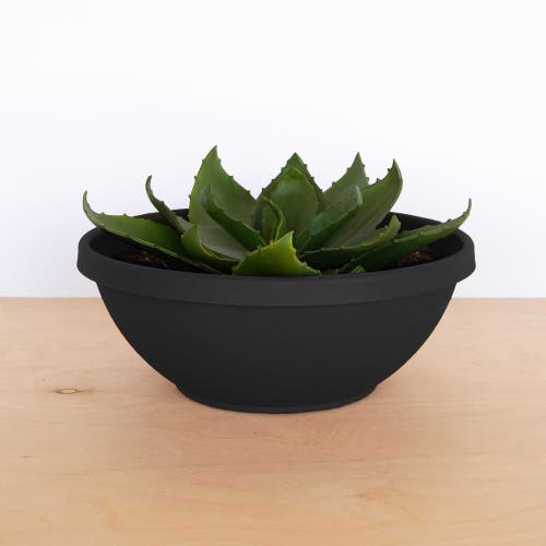 Bloem Terra Plant Bowl Planter 14" Black In Black