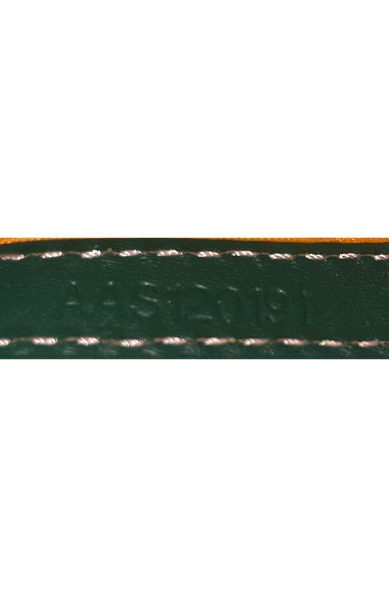 Pre-Owned Goyard Cap Vert Bag Coated Canvas, Alternate, color, Green