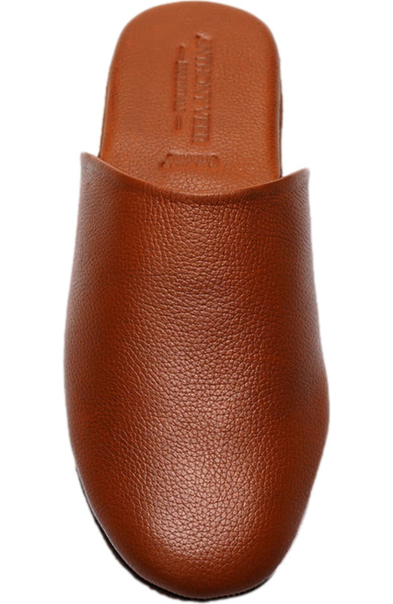 Anthony Veer Clark House Slippers, Alternate, color, Tan Pebble Leather
