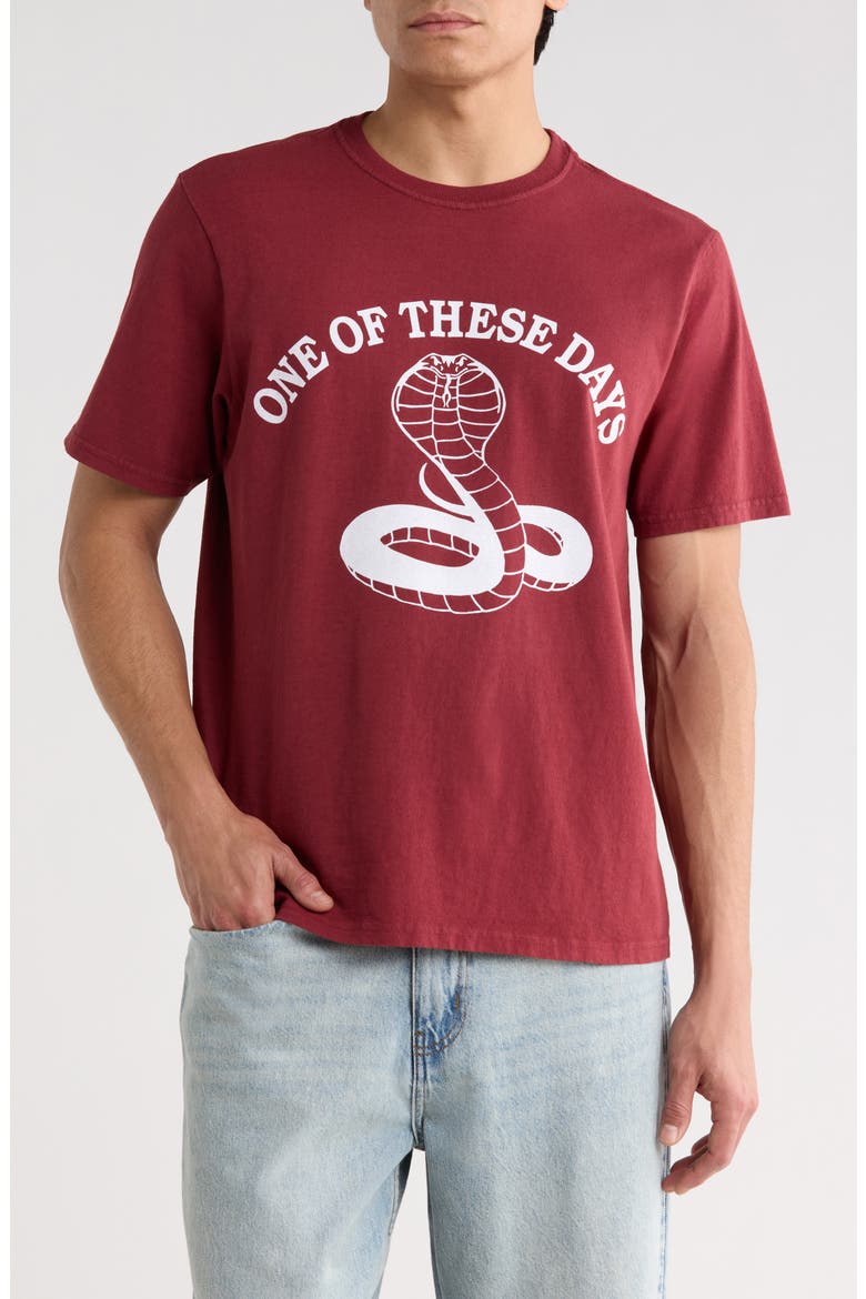 Cobra Graphic Print T-Shirt, Main, color, BURGUNDY