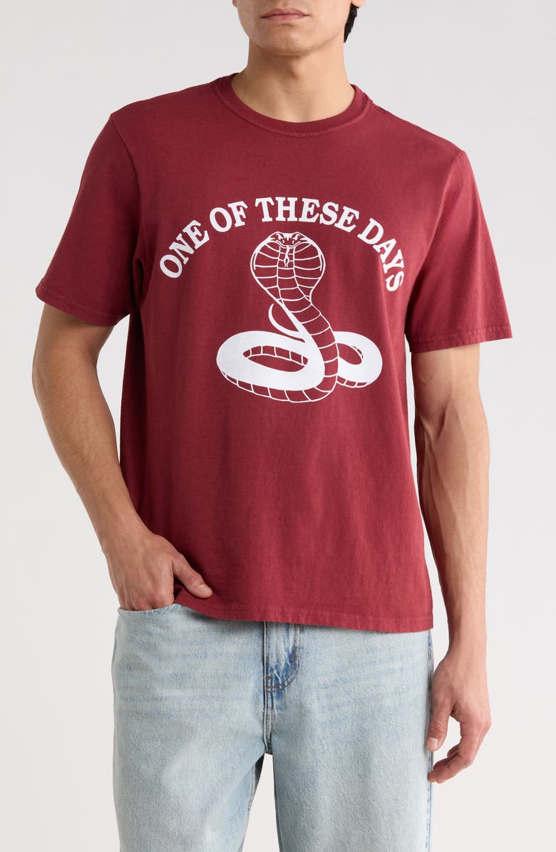 ONE OF THESE DAYS Cobra Graphic Print T-Shirt, Main, color, Burgundy