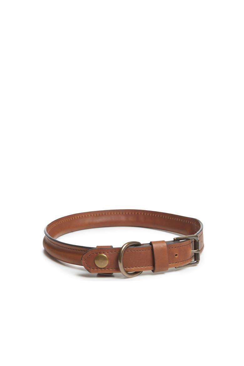 Gordon Leather Dog Collar - MD, Alternate, color, Espresso