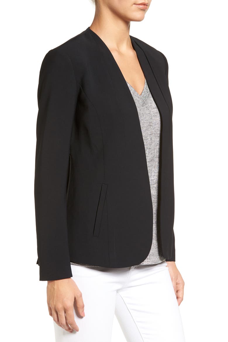 Pleat Back Jacket, Alternate, color, BLACK