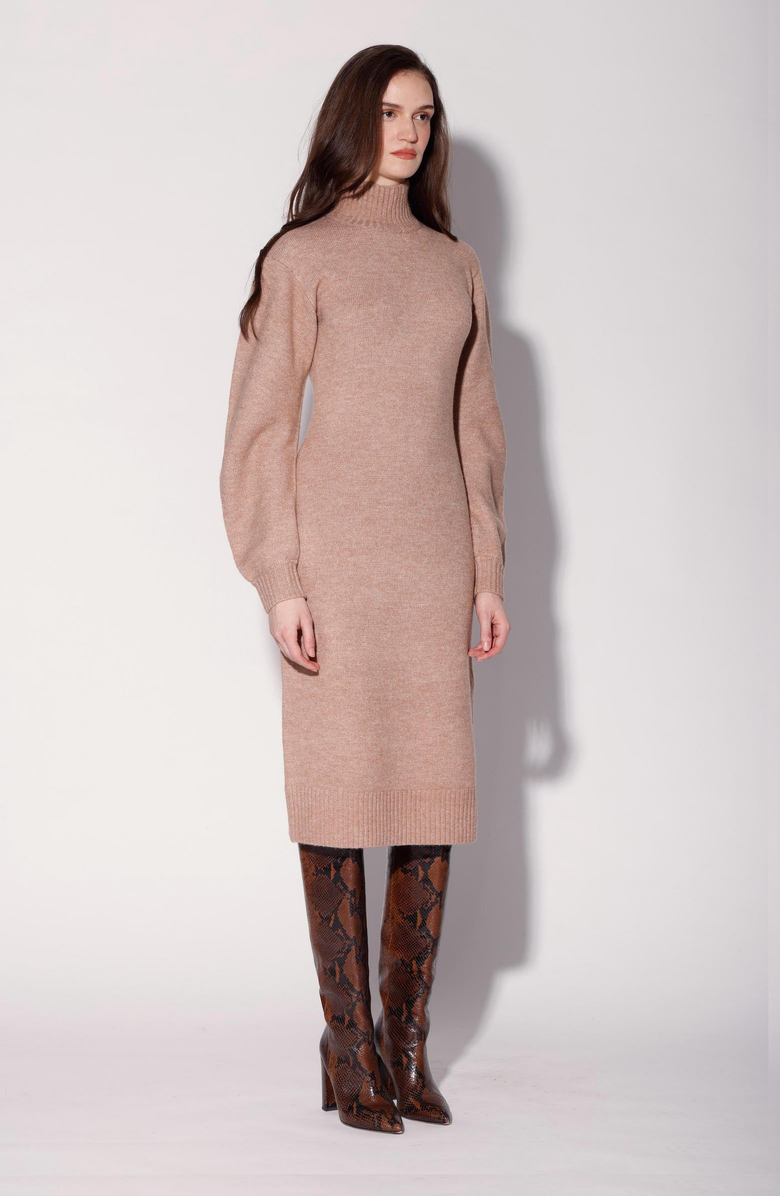 Walter Baker Adalina Dress, Main, color,