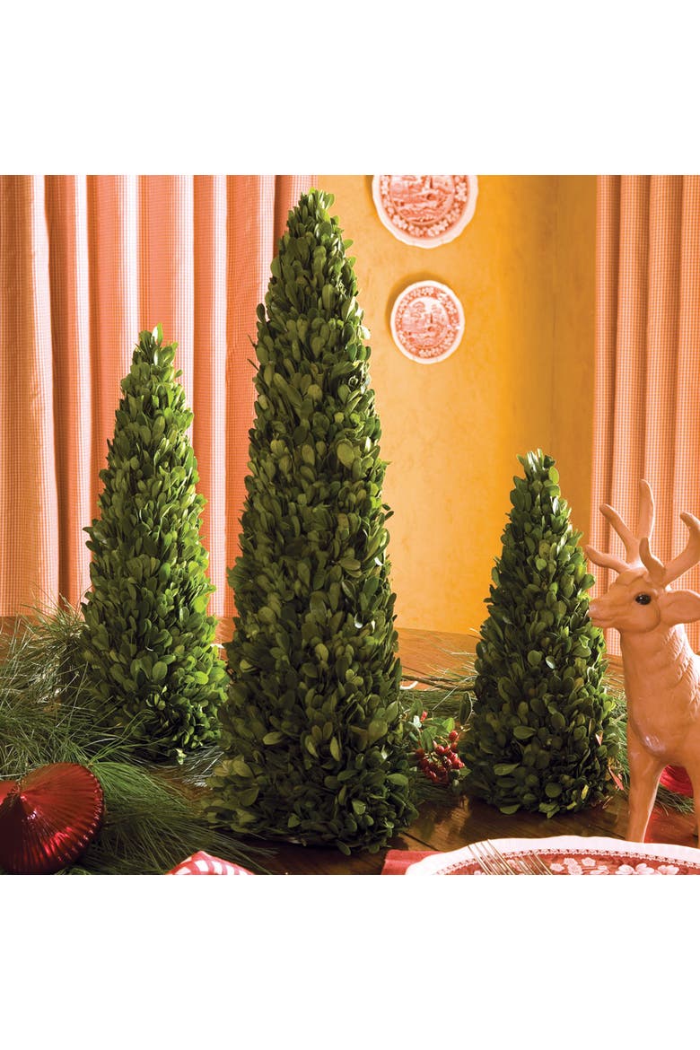 Boxwood Mini Trees Set of 3, Alternate, color, Green