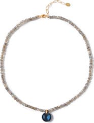 Chan Luu Camille Labradorite Necklace
