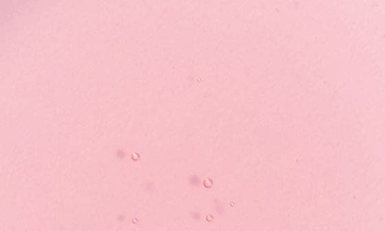 ROSE HIP SPRITZ