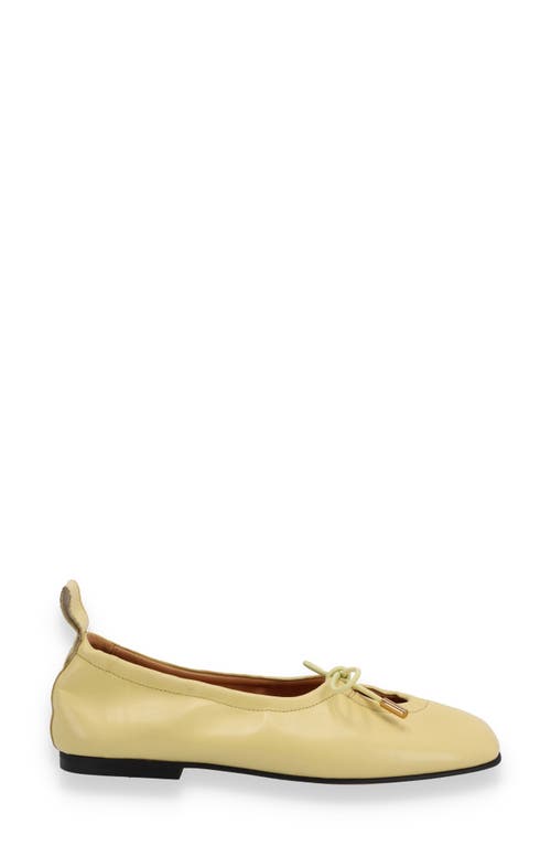 Alohas Rosalind Ballet Flat In Yellow