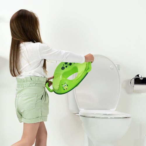 My Carry Potty My Little Trainer Seat In Gray
