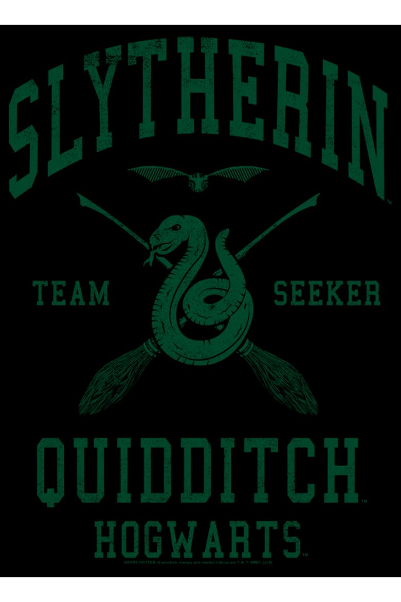 Men's Harry Potter Slytherin Quidditch Team Seeker  Graphic T-Shirt, Alternate, color, Black