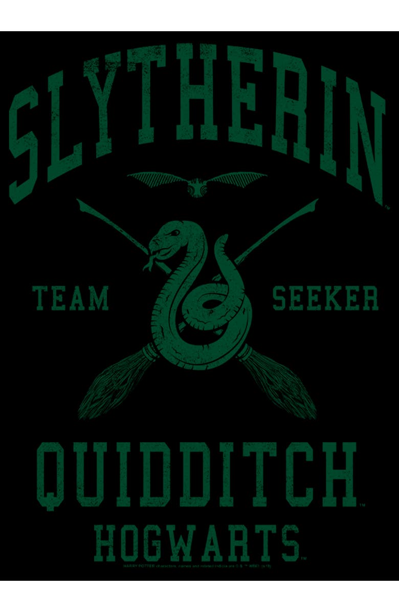 HARRY POTTER Men's Harry Potter Slytherin Quidditch Team Seeker  Graphic T-Shirt, Alternate, color, Black