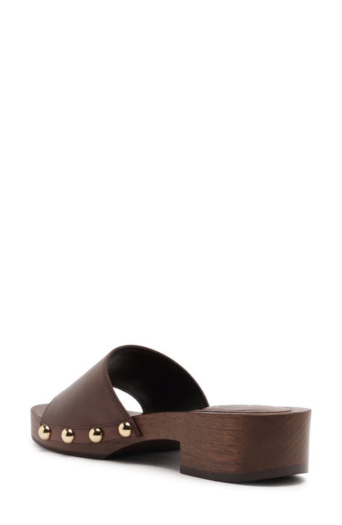 Schutz Shayla Slide Sandal In Brown