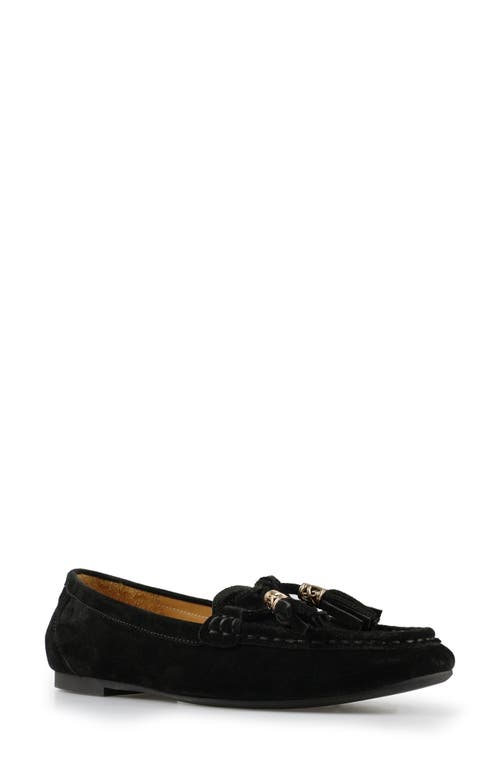 National Comfort Shell Suede Loafer In Black Suede