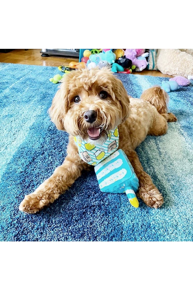 Birthday Cake Dog Chew Toy Blue 6 Inch, Alternate, color, Multicolored