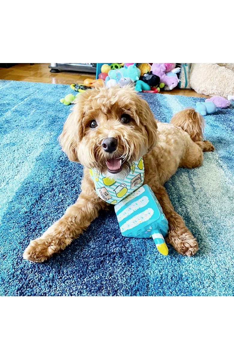 FOUFIT Birthday Cake Dog Chew Toy Blue 6 Inch, Alternate, color, Multicolored
