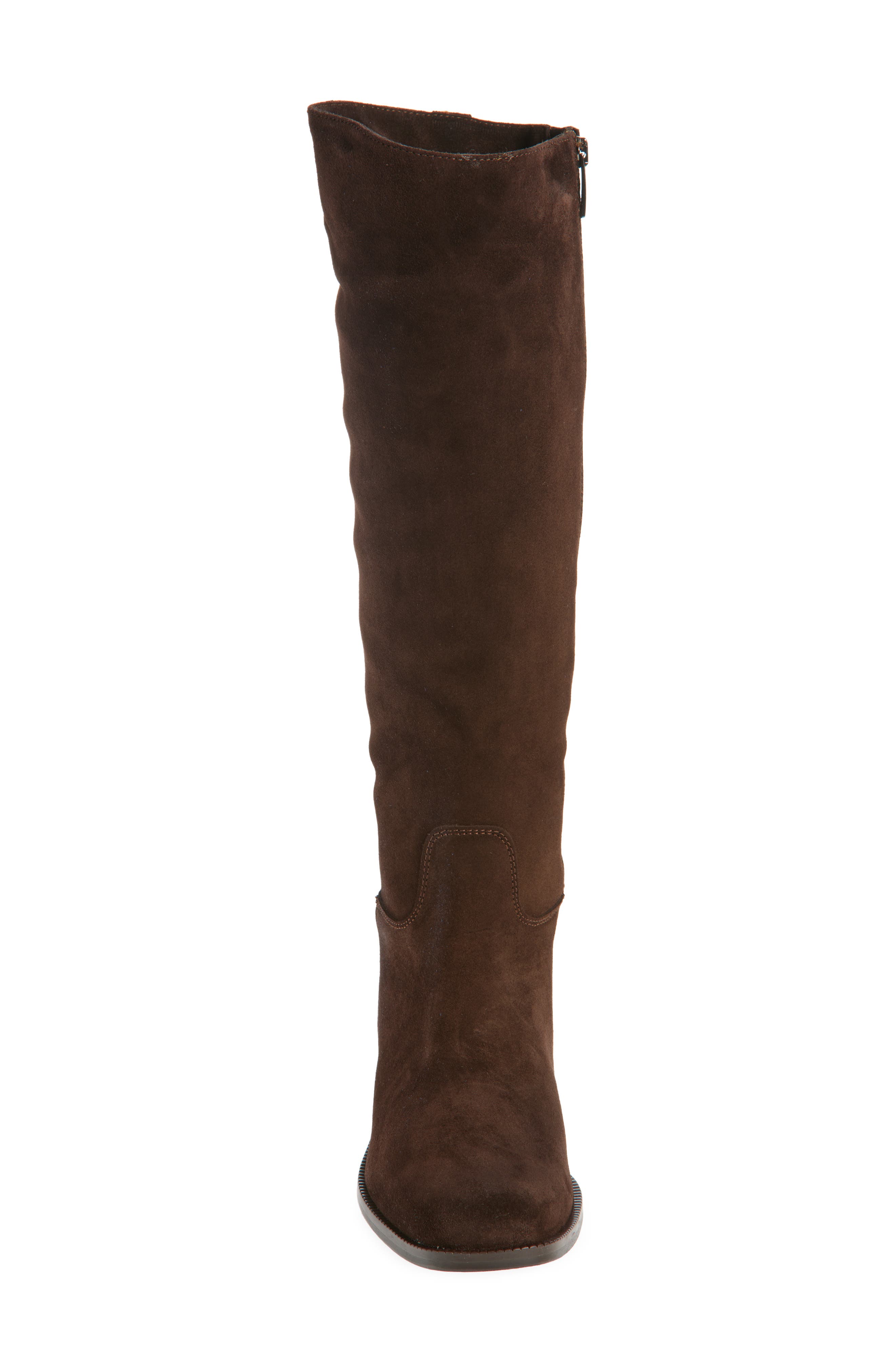 La Canadienne Segal City Dry<sup>™</sup> Waterproof Tall Boot, Alternate, color, Brunette