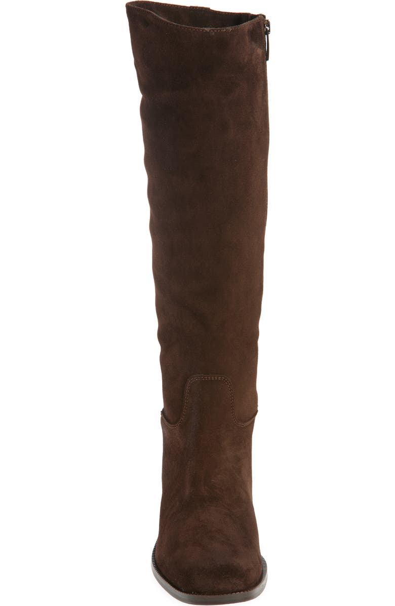 La Canadienne Segal Waterproof Tall Boot, Alternate, color, Brunette