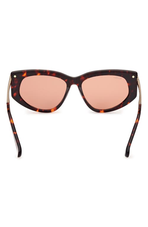 Max Mara Women's Dark Havana Beth Cat-eye Sunglasses In Dark Havana/brown