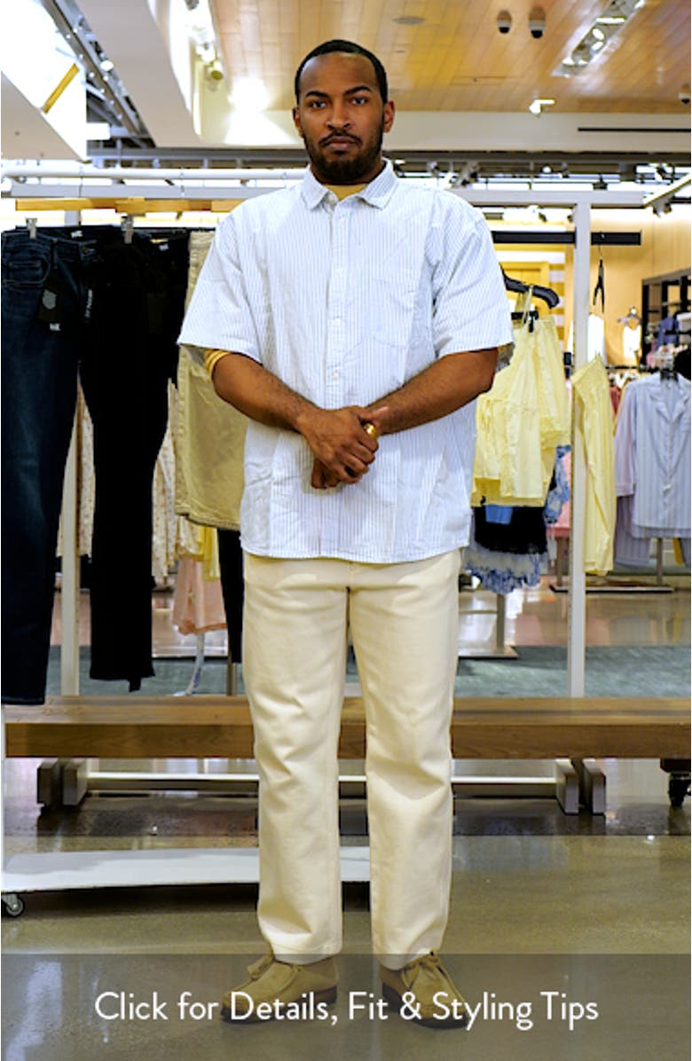 Lawson Stripe Cotton & Linen Blend Button-Up Shirt, sales video thumbnail
