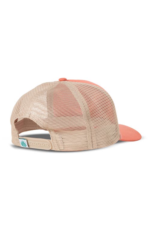 Sendero Provisions Co. Cowboy Trucker Hat In Pink