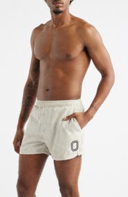 OVERTIME Daybreak Swim Trunks