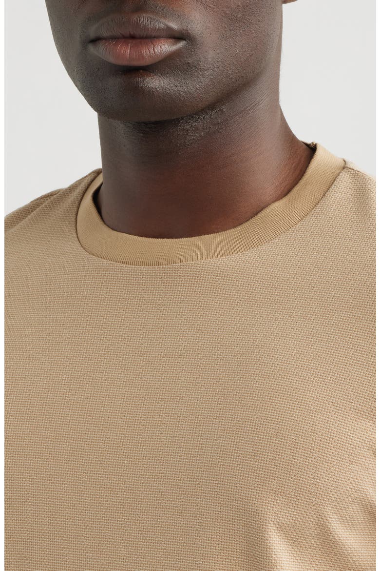 Thompson Solid T-Shirt, Alternate, color, MED BEIGE